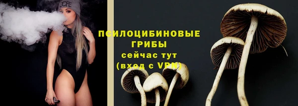 соль ск Инта