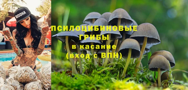 спиды Зеленодольск
